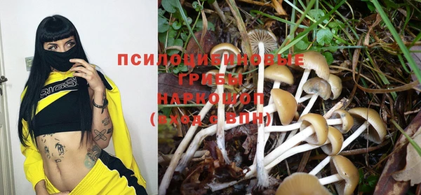 эйфоретик Наволоки